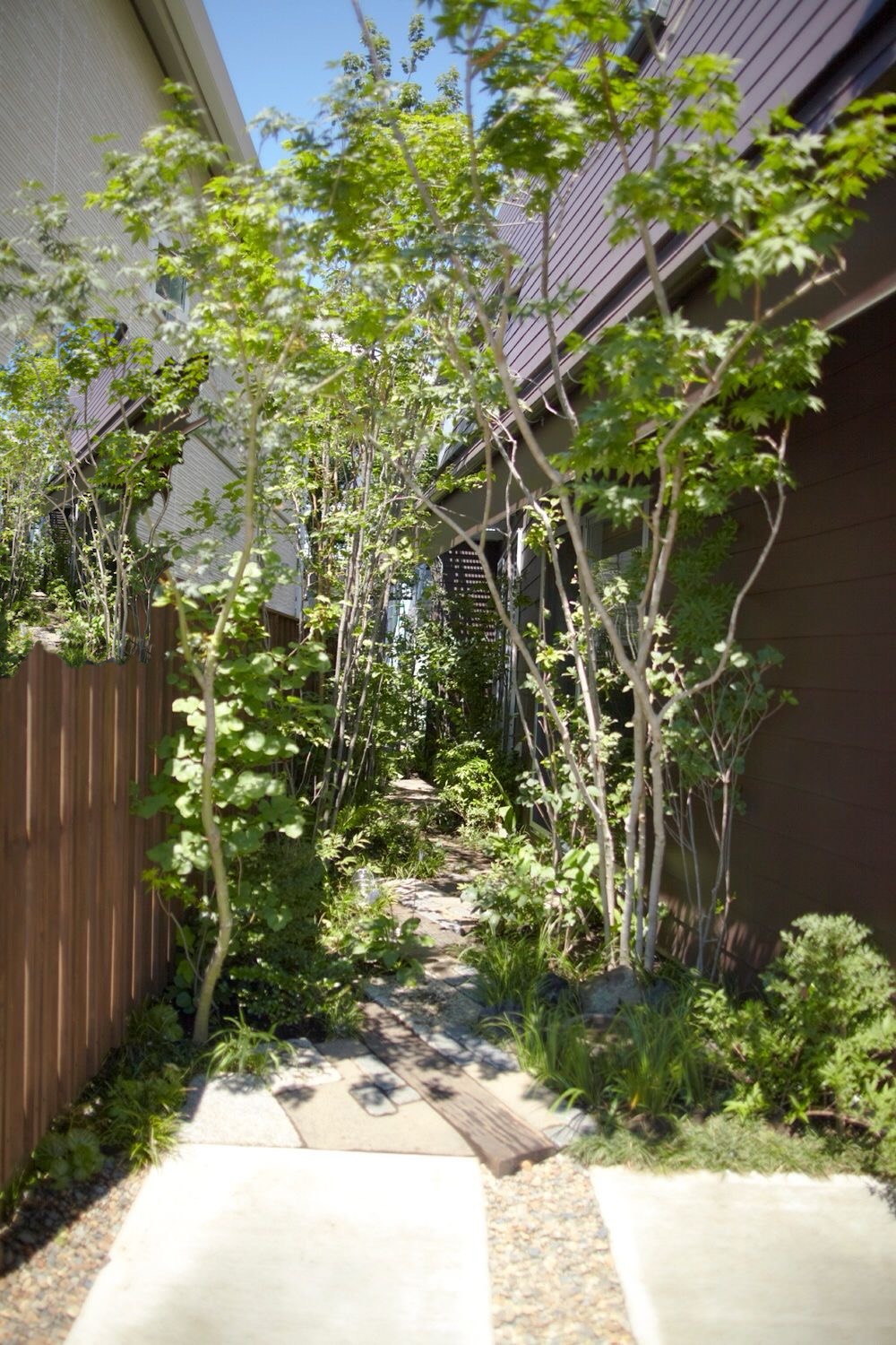 シキナミカズヤ建築研究所の施工事例｜地方移住で叶える木造住宅。自然と調和し、感情を揺さぶる設計で普遍的な居心地を生む住まい セタガヤの家