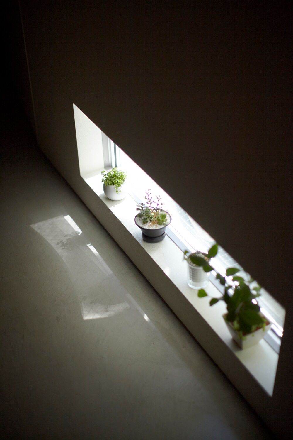 シキナミカズヤ建築研究所の施工事例｜地方移住で叶える木造住宅。自然と調和し、感情を揺さぶる設計で普遍的な居心地を生む住まい セタガヤの家